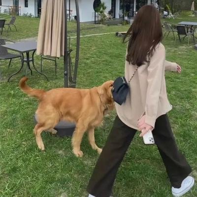 简爱前传：梦回藻海